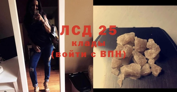 прущие грибы Алзамай