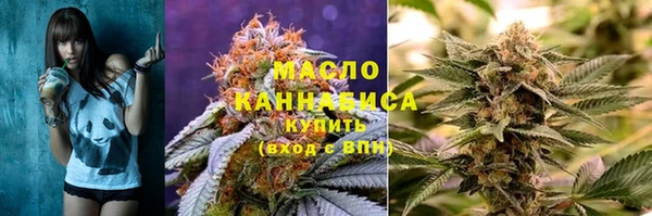 прущие грибы Алзамай