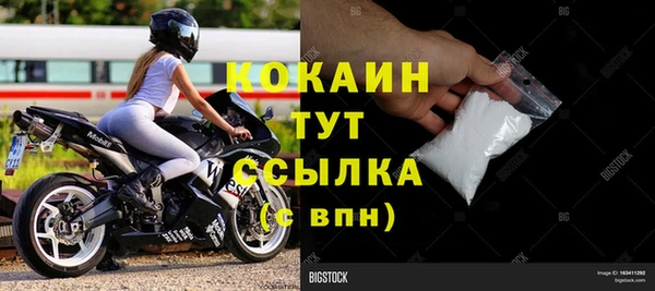 сатива Аркадак