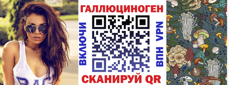 Псилоцибиновые грибы мицелий  darknet формула  Петропавловск-Камчатский 